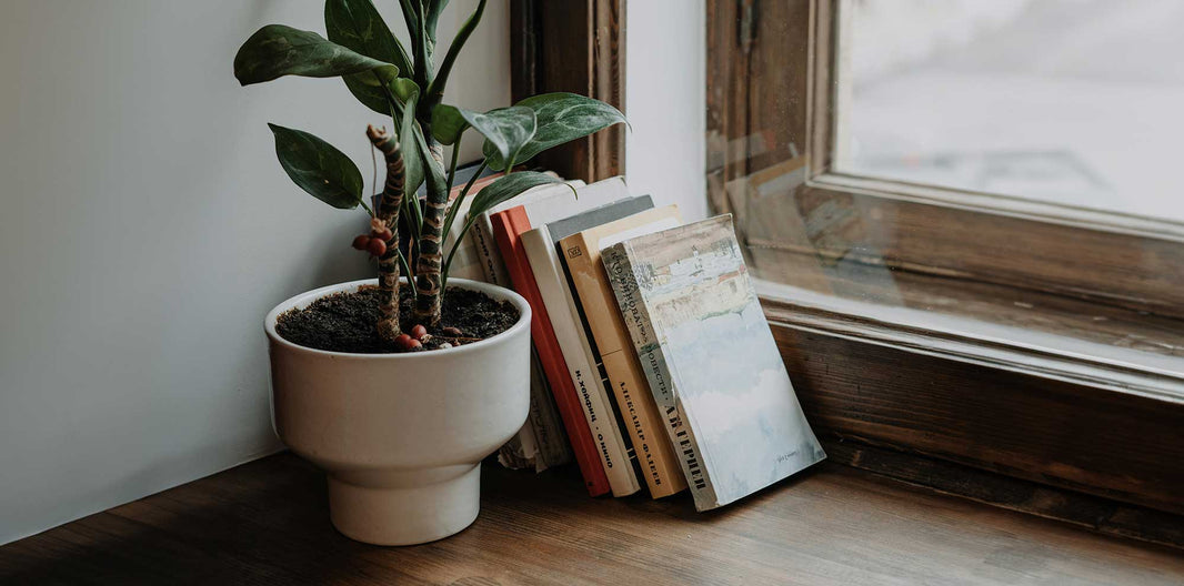 100 Bücher des 21. Jahrhunderts, die man gelesen haben sollte